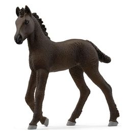 Horse Club Puledro Frisone