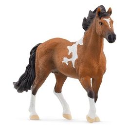 Horse Club Stallone Mangalarga Marchador
