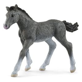 Horse Club Trakehner Cavallo