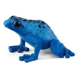Rana Freccia Blu