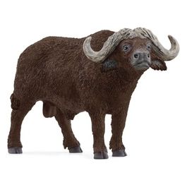 Wild Life African Buffalo