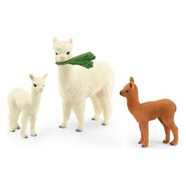 Wild Life Famiglia di Alpaca