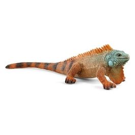 Wild Life Iguana