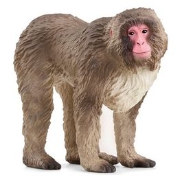 Wild Life Macaco Giapponese