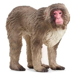 Schleich Wild Life Macaco Giapponese