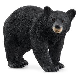 Wild Life Orso Nero Americano