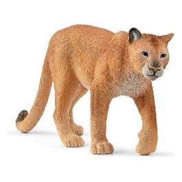 Wild Life Puma
