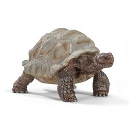 Wild Life Tartaruga Gigante