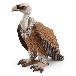 Wild Life Vulture