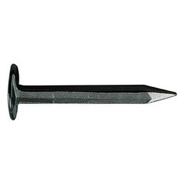 Sellerine Acciaio Due Leoni Testa Fresata Kg.2,5 mm. 20