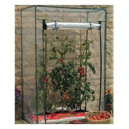 Serra Pomodori Copertura In Pvc