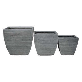 Set Di 3 Vasi Calendula