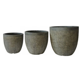 Set Vasi Pesco