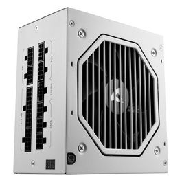 Rebel P20 Alimentatore ATX 3.1 1000W Platinum Bianco