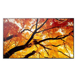 Sharp, Display Grande Formato 86 Pollici, Multisync M862, Digital Signage