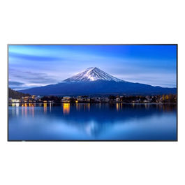 MultiSync P556 Monitor 55" 4K IPS 700cd/m²