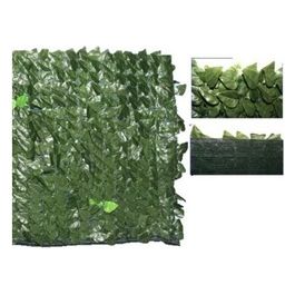 Siepe Evergreen Lauro Oscurante 1,5X3Mt