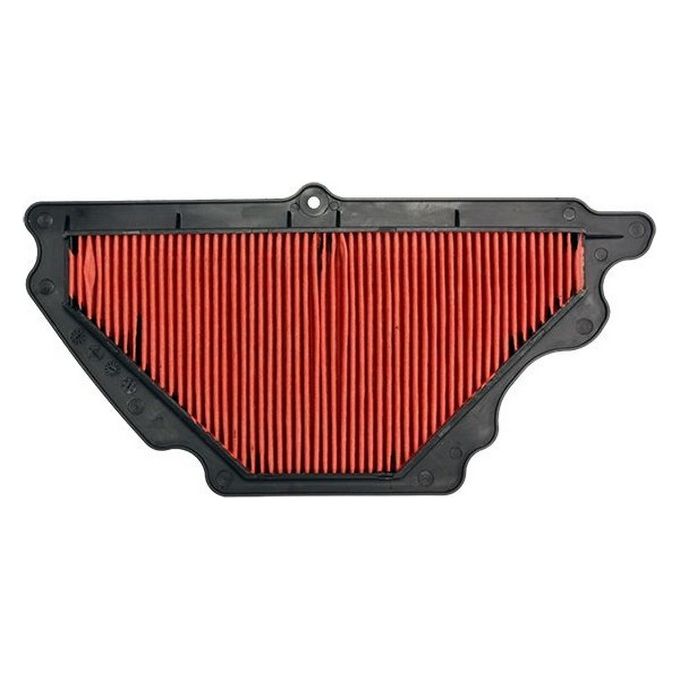 Sifam Filtro Aria Zx-6R 07-08