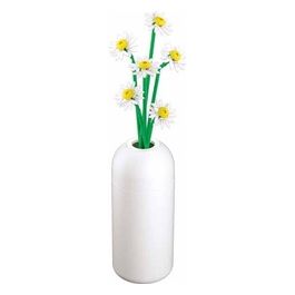 Margherite con Vaso Pleyerid