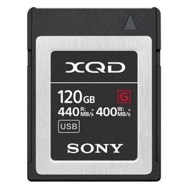QDG120 F 120 GB Scheda di Memoria Flash 120Gb