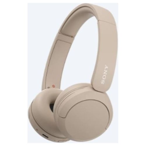 WH-CH520 Cuffie Wireless a Padiglione Bluetooth con Ricarica USB-C Design Elegante per Musica e Chiamate