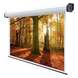 5502 Schermo per Proiettore Elettrico Rubin 500x280cm