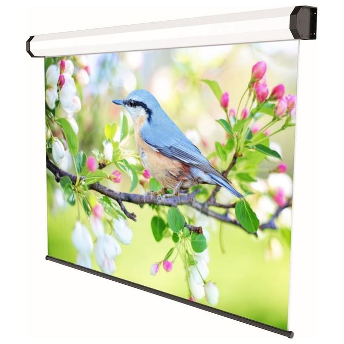 Sopar EL Professional 240x150cm