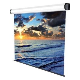 Electric Professional Schermo per proiezione montaggio a soffitto motorizzato 136 pollici (345 cm) 16:9 bianco alluminio anodizzato
