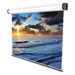 Schermo per proiezione montaggio a soffitto, montaggio a parete motorizzato 230 V 113 pollici (287 cm) 16:9