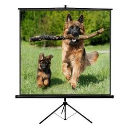 Tp New Junior 200x200cm