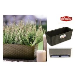 Stefanplast Cassetta Fiori Rattan Ristagno Acqua 50cm Marrone