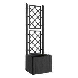 Fioriera Deluxe Qta Antracite Spalle 43