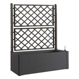Fioriera Rettangolare in Resina con Spalliera per Rampicanti cm 100x43x142h Colore Antracite gr09