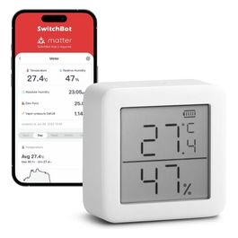 Termometro Smart