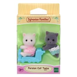 Gemelli Gatto Persiano