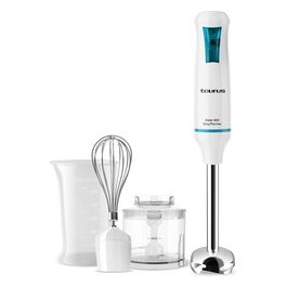 Robot 600 Easy Plus Frullatore ad Immersione Inox