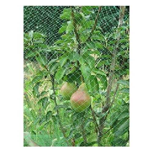 55030046 Ortoflex Rete Antiuccelli Protezione Piante e Colture 2x5 m colore Verde