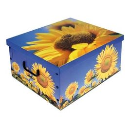 Scatola Componibile 50x40x25cm
