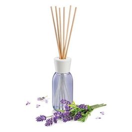 Fancy Home Diffusore di Essenza Lavanda 120ml