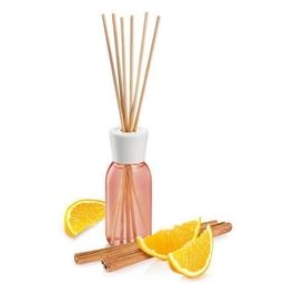 Fancy Home Diffusore di Essenza Arancia/Cannella 120ml
