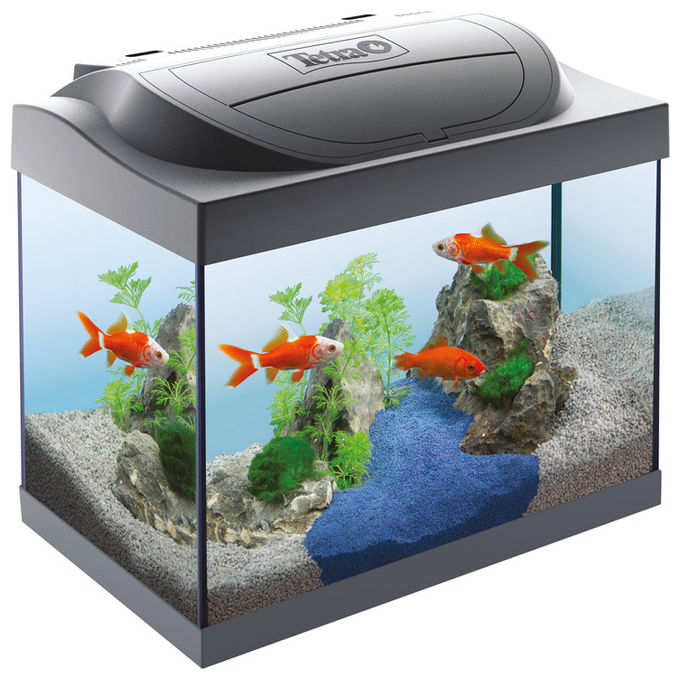 Tetra Acquario Starter line Led completo 30 l Nero