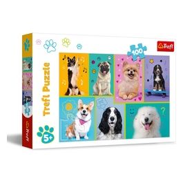 Puzzle da 100 Pezzi -  Nel Mondo Dei Cani