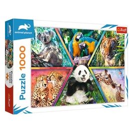 Puzzle da 1000 Pezzi - Animal Kingdom
