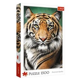 Puzzle da 1500 Pezzi - Portrait Of A Tiger