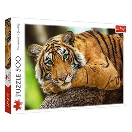Puzzle da 500 Pezzi - Ritratto Di Una Tigre