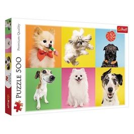 Puzzle da 500 Pezzi - Dogs