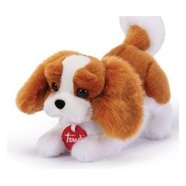 Cavalier King Marley