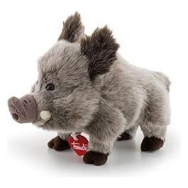 Cinghiale Levante