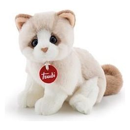 Gattino Brad Bianco e Beige