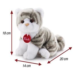 Gattino Brad Tigrato Grigio